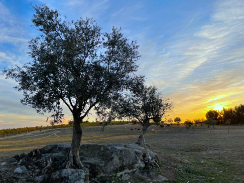 Slider image (6) Tabula Rasa Retreat